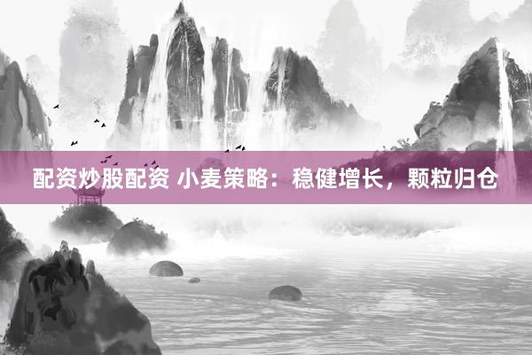 配资炒股配资 小麦策略：稳健增长，颗粒归仓
