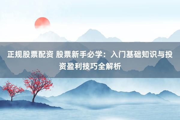 正规股票配资 股票新手必学：入门基础知识与投资盈利技巧全解析