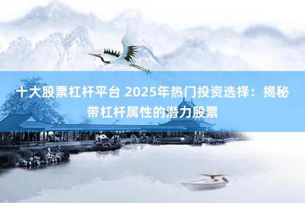 十大股票杠杆平台 2025年热门投资选择：揭秘带杠杆属性的潜力股票