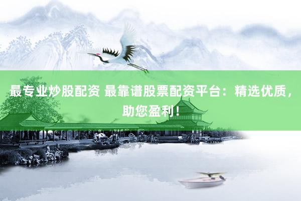最专业炒股配资 最靠谱股票配资平台：精选优质，助您盈利！