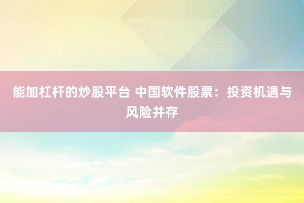能加杠杆的炒股平台 中国软件股票：投资机遇与风险并存