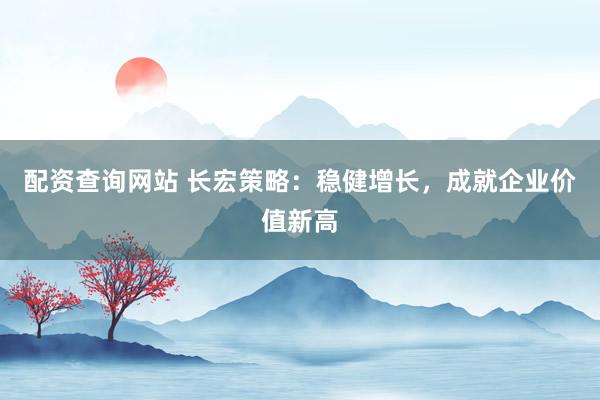 配资查询网站 长宏策略：稳健增长，成就企业价值新高