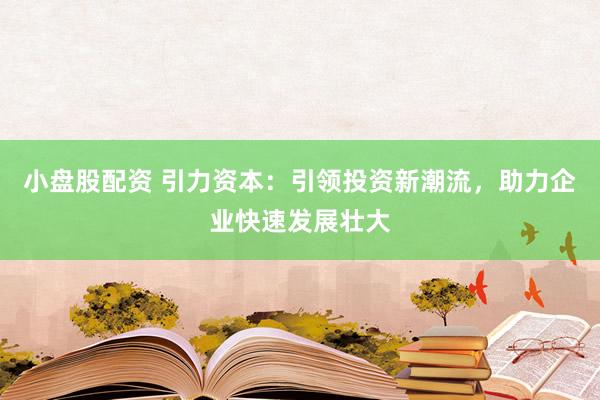 小盘股配资 引力资本：引领投资新潮流，助力企业快速发展壮大