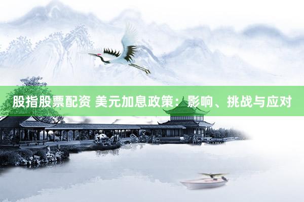 股指股票配资 美元加息政策：影响、挑战与应对