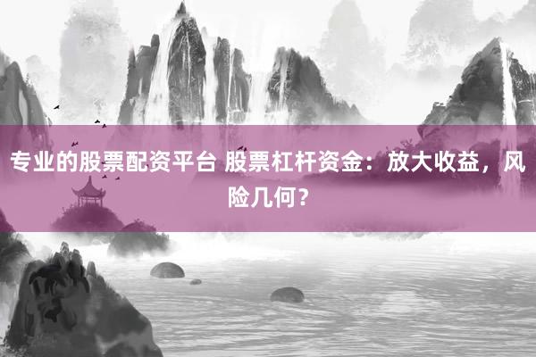 专业的股票配资平台 股票杠杆资金：放大收益，风险几何？