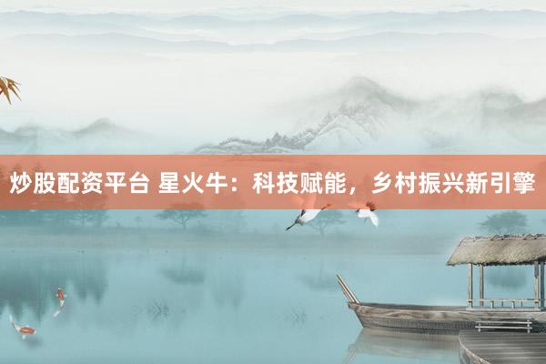 炒股配资平台 星火牛：科技赋能，乡村振兴新引擎