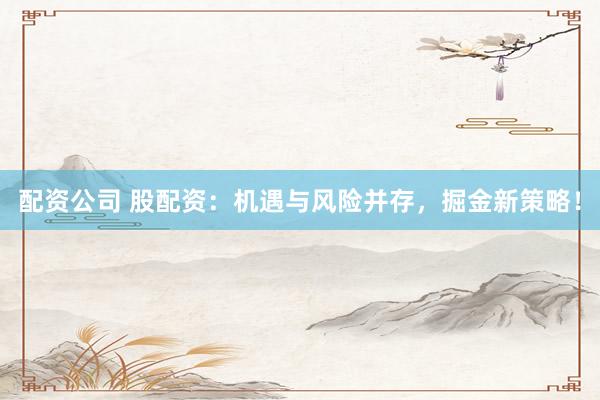 配资公司 股配资：机遇与风险并存，掘金新策略！