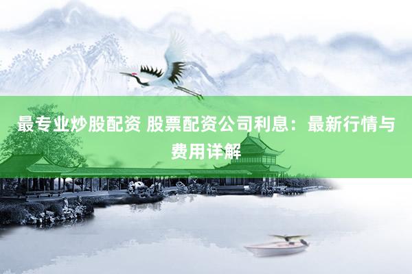 最专业炒股配资 股票配资公司利息：最新行情与费用详解