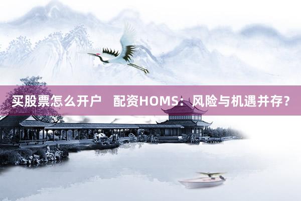 买股票怎么开户   配资HOMS：风险与机遇并存？