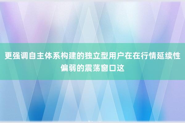 更强调自主体系构建的独立型用户在在行情延续性偏弱的震荡窗口这
