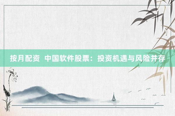 按月配资 中国软件股票:投资机遇与风险并存