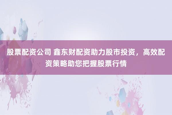 股票配资公司 鑫东财配资助力股市投资，高效配资策略助您把握股票行情